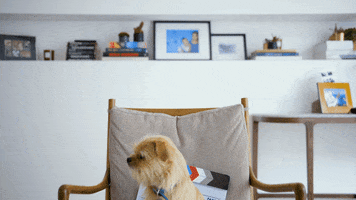 Illustration Artist GIF by Reuben Armstrong
