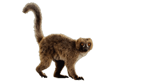 Maki Aida Sticker by AIDA_Cruises