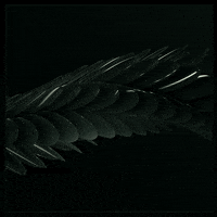 render dragon scale GIF by xponentialdesign