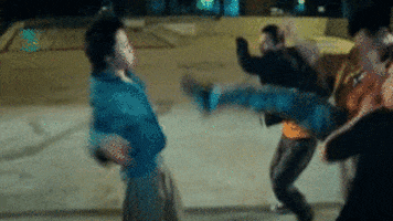 kung fu fighting ladies GIF