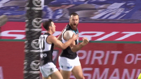 Never Tear Us Apart Football GIF by Port Adelaide FC