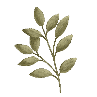 Plant Leaf Sticker
