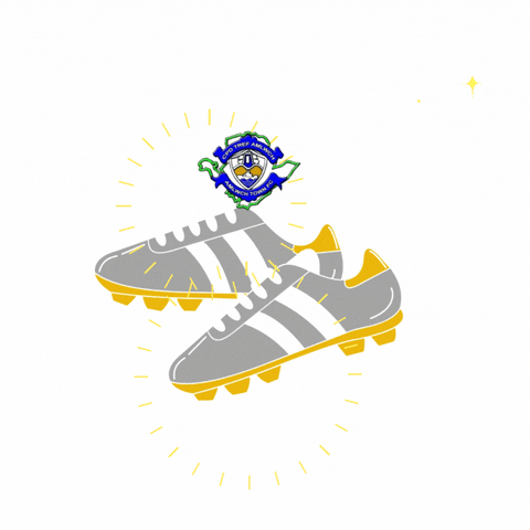 Goal Shoes GIF by Gwna Harbour