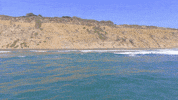 San Francisco Summer GIF by Yevbel