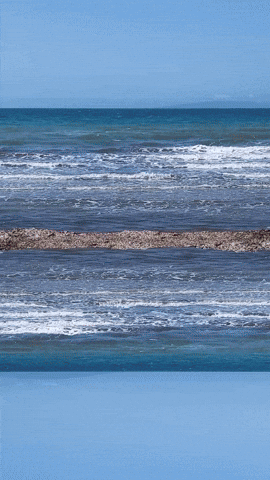 Simongip giphyupload GIF