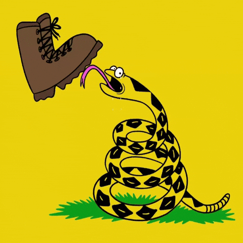 Snake Boot Licker GIF by Chris Piascik