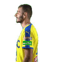 fkteplice ljeva Sticker