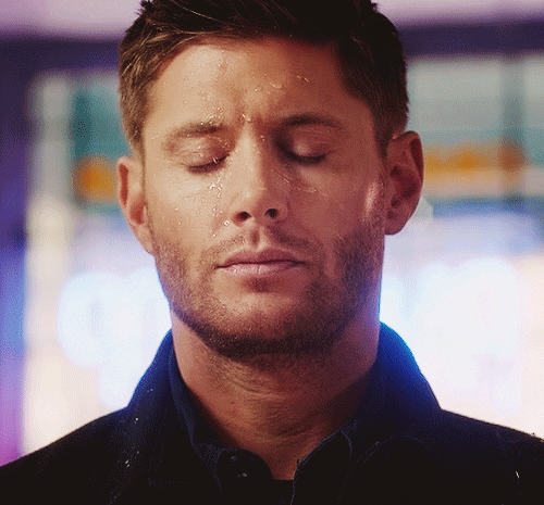 bunk GIF