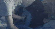 Music Video Indie GIF by boygenius