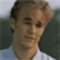 Dawson Gifs For Ants GIF