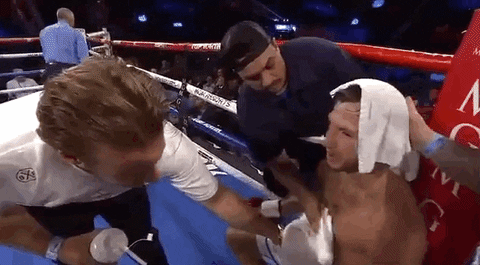 toprank giphyupload fight boxing fighting GIF