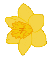 Flower Spring Sticker