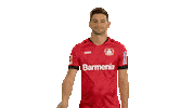 Bye Bye Hello Sticker by Bundesliga