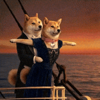 Titanic Scene GIF by DogeGF