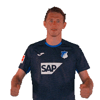 Wouter Burger Sport Sticker by TSG Hoffenheim