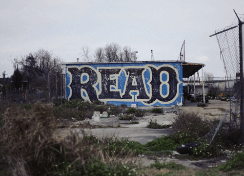 read new orleans GIF by Liaizon Wakest