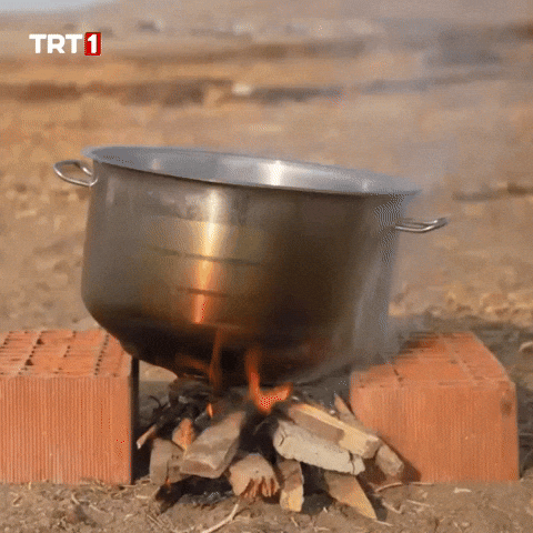 Hungry Fire GIF by TRT