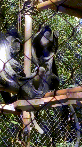 lesleywake giphyupload GIF