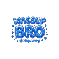 Hey Bro Sticker
