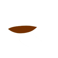 Good Morning Coffee Sticker
