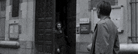 new york film festival nyff 2015 GIF by Film Society of Lincoln Center