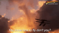 You know how to fly, don't you?
