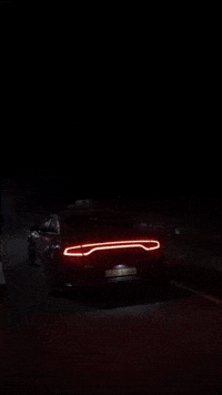 Dodo Hasan GIF