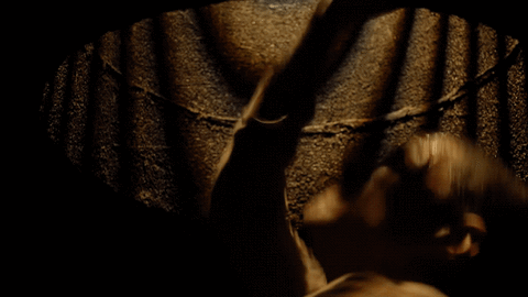 fox GIF by Prison Break