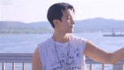 Dk 세븐틴 GIF