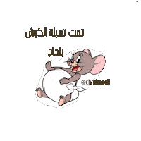 رمضان كريم Sticker