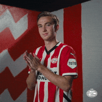 Land Eindhoven GIF by PSV