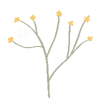 codexbeauty swipe up science vegan plants Sticker