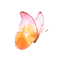 Butterfly Sticker by Clean Beauty Collective