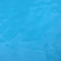 Summer Time Swimming GIF by Gnomo