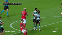 Sl Benfica Slbgif GIF by Sport Lisboa e Benfica