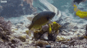 oh no escape GIF by OctoNation