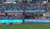 New York Football GIF by NYCFC