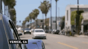 viceland GIF by THE HUNT FOR THE TRUMP TAPES
