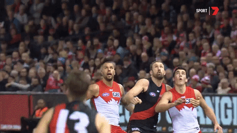 sport australia GIF by Essendon FC