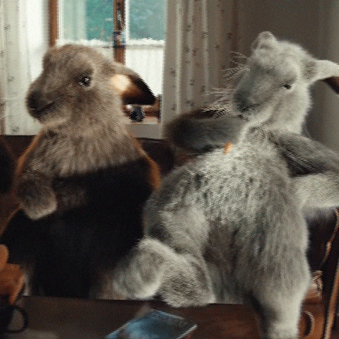 Pohoda Kralik GIF by Fio banka