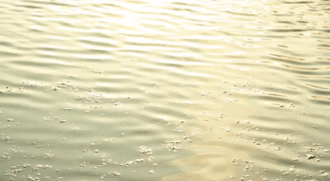 Joeyvdl water gold river flow GIF