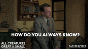 Knowing I Know GIF by MASTERPIECE | PBS