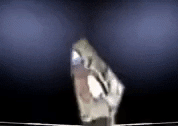 Art Film GIF by jorgemariozuleta