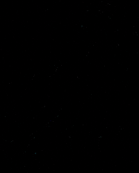 club p GIF by Agência PHE