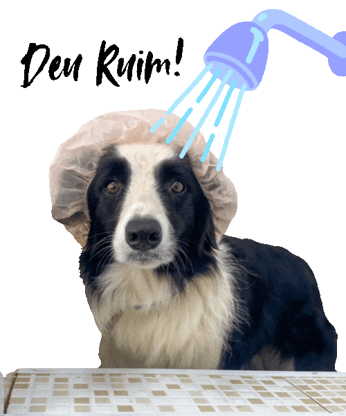 kombordersnaestrada giphyupload giphycreatortest komborders komborder Sticker