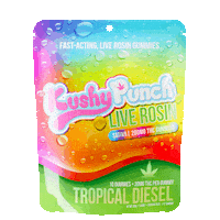 Punch Bag Sticker by Exclusive Michigan