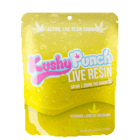 Punch Bag Sticker by Exclusive Michigan