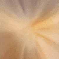 Cat GIF