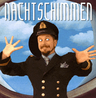 Nachtschimmen zlaskewicz zizbilit laskewicz zachar GIF