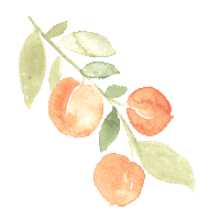 Illustration Orange Sticker by urbanwalls
